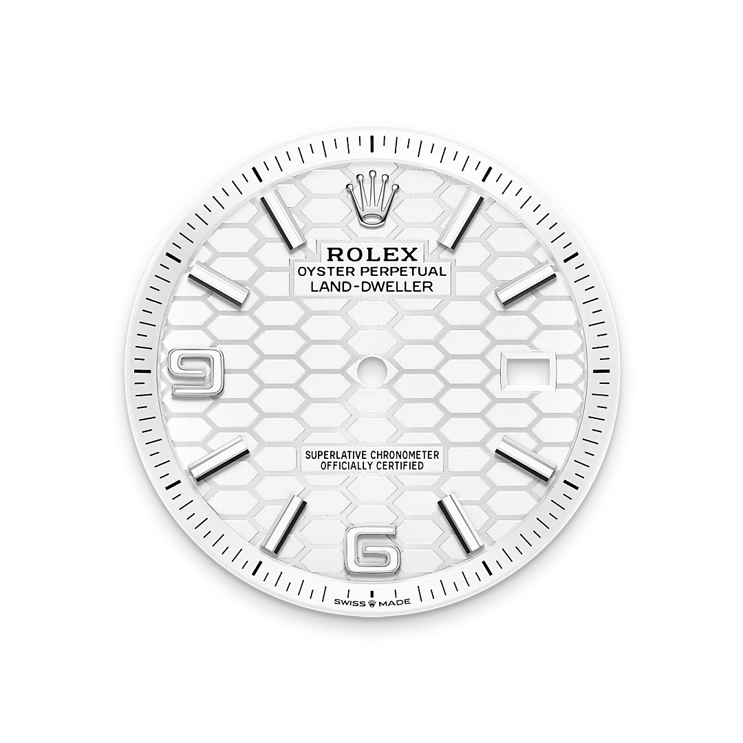 Rolex Land-Dweller 40腕錶白色黃金鋼（蠔式鋼與白色黃金的組合）款，M127334-0001 - 慎昌鐘錶