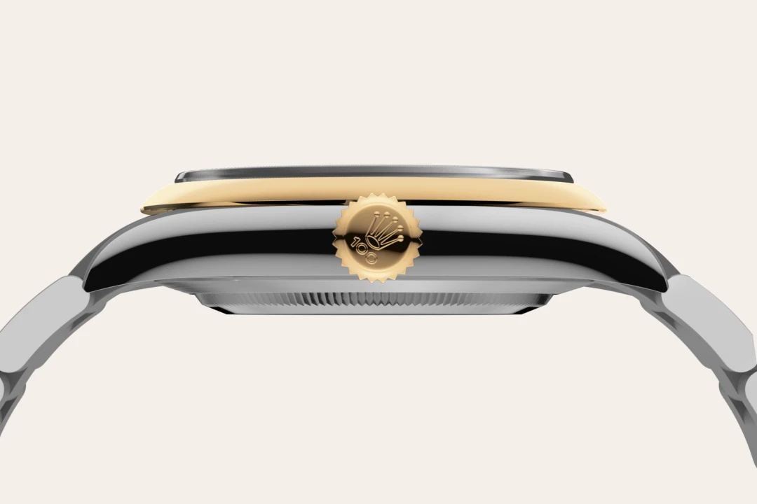 Rolex Oyster Perpetual 41腕錶黃金鋼（蠔式鋼與黃金的組合）款，M134303-0001 - 慎昌鐘錶