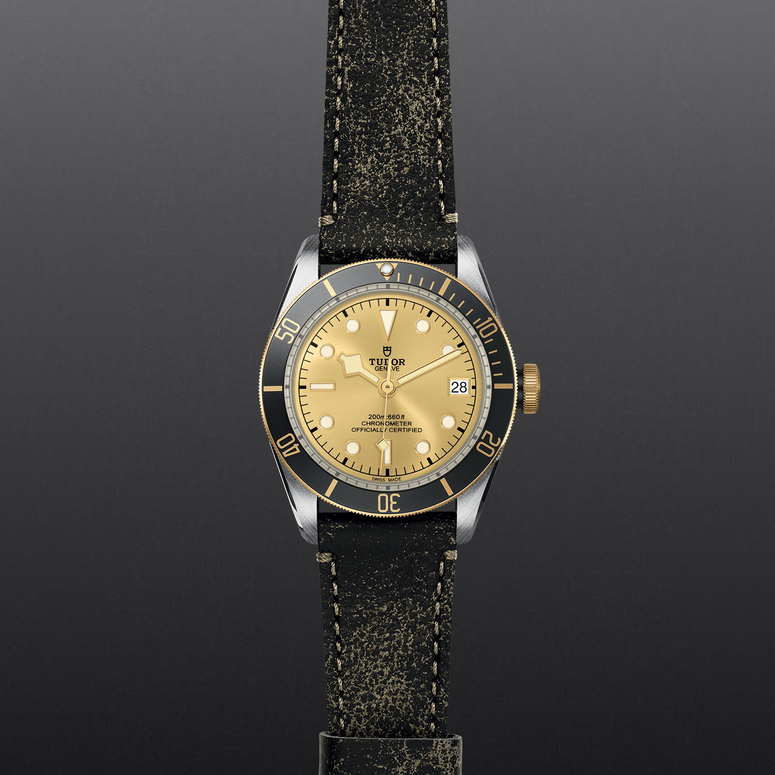 TUDOR Black Bay S&G