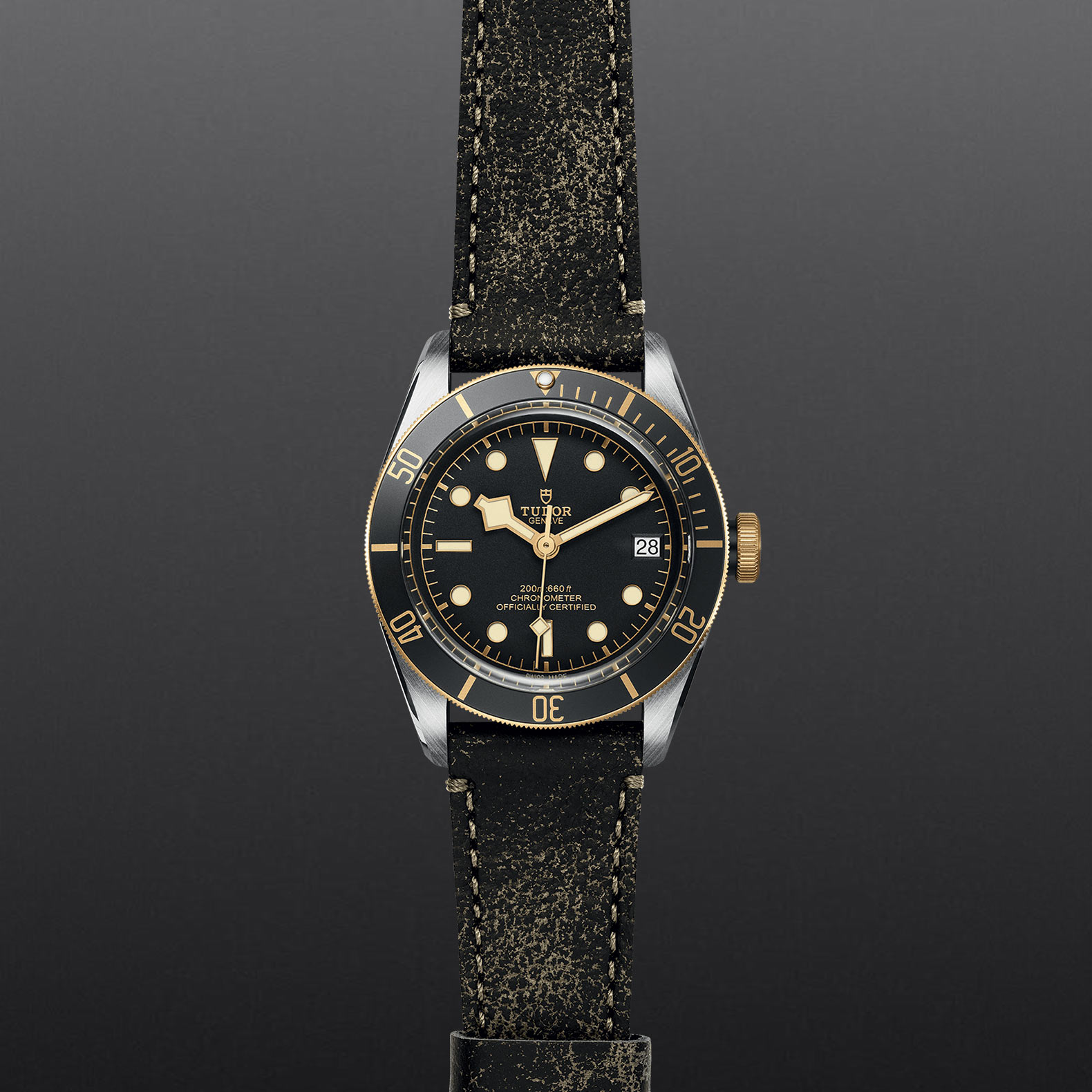 TUDOR Black Bay S&G