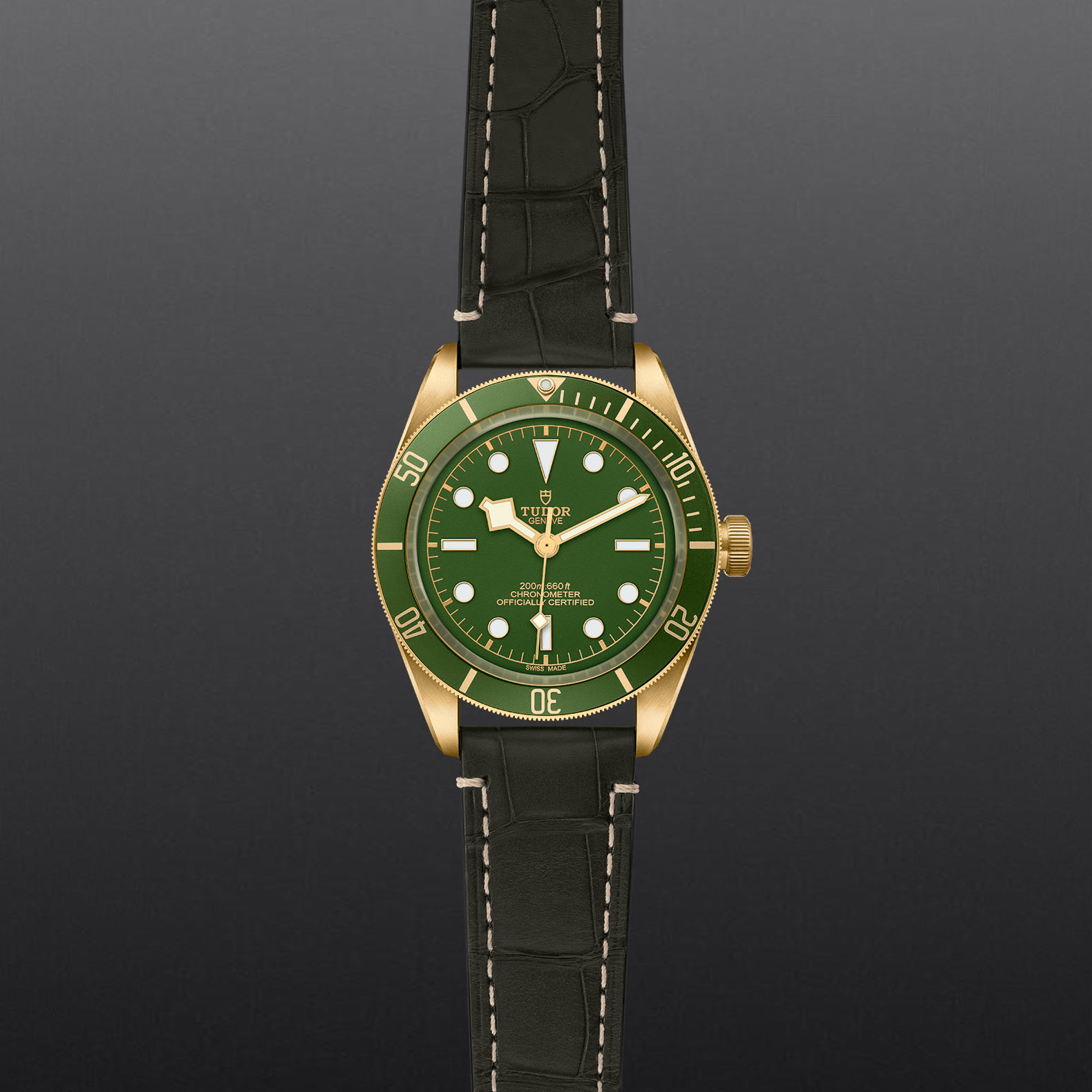TUDOR Black Bay 58 18k